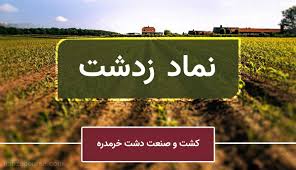 افزایش سرمایه «زدشت» در آستانه مجمع؛ سرمایه‌گذاری سنگین با وجود تنش‌های اقلیمی و جهش هزینه ارزی
